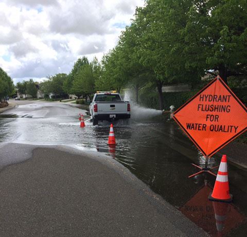 Hydrant Flushing