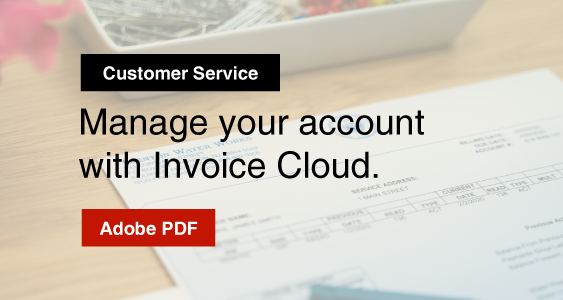 OCCR-101_PNG-24_Invoice_Cloud_March-21,-2020 Opens in new window